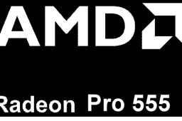 AMD Radeon Pro 555 2GB